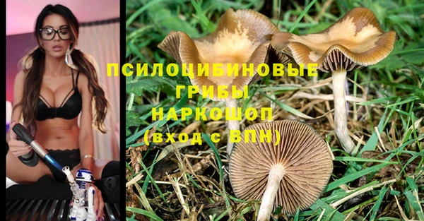 марки nbome Краснослободск