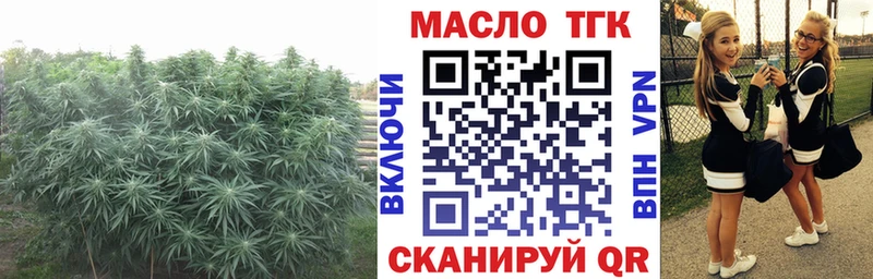 ТГК вейп с тгк  Купить где  Карабаш 