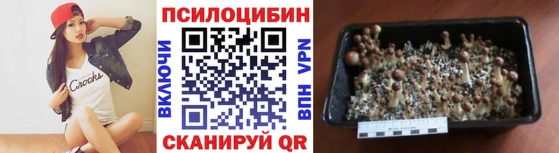 Галлюциногенные грибы Psilocybine cubensis  Купить где  Карабаш 